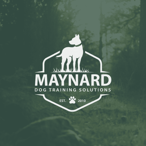 Logo & Squarespace website with the title 'Maynard Dog Training Solutions'